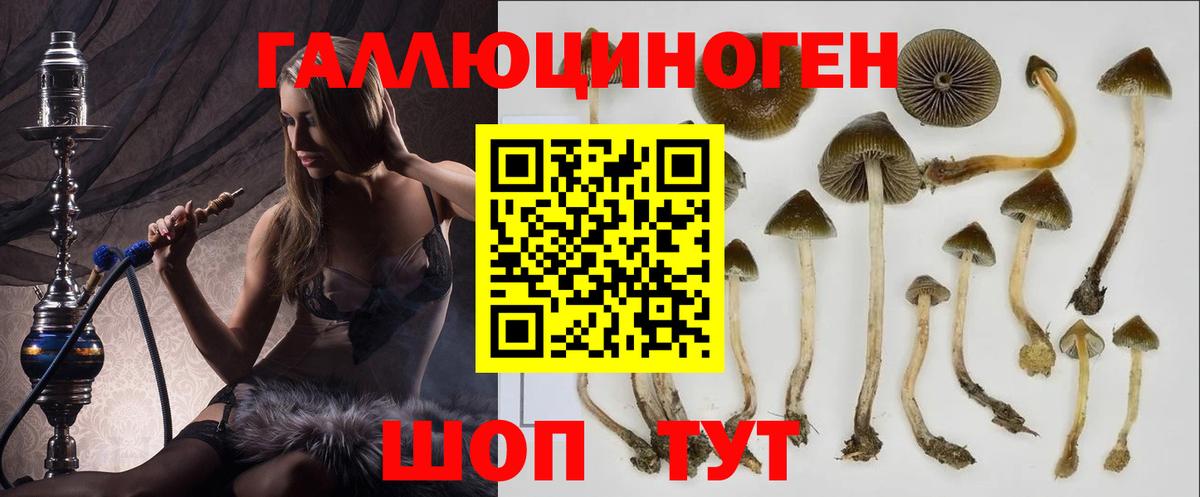 Нягань  Псилоцибиновые грибы мухоморы  Вход с VPN 